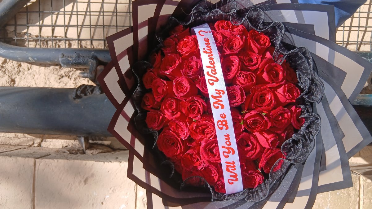 THE VALENTINE PROMISE  photo 5