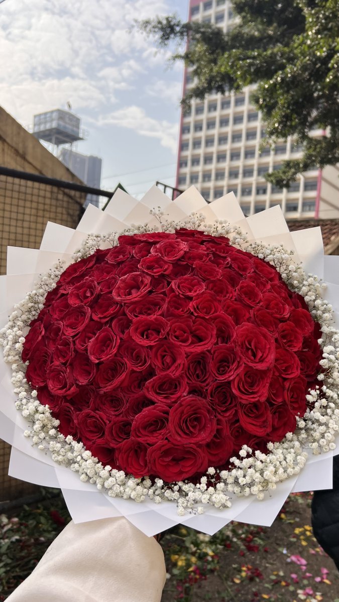 Crimson Royale ❤️🌹💯❤️❤️ photo 6